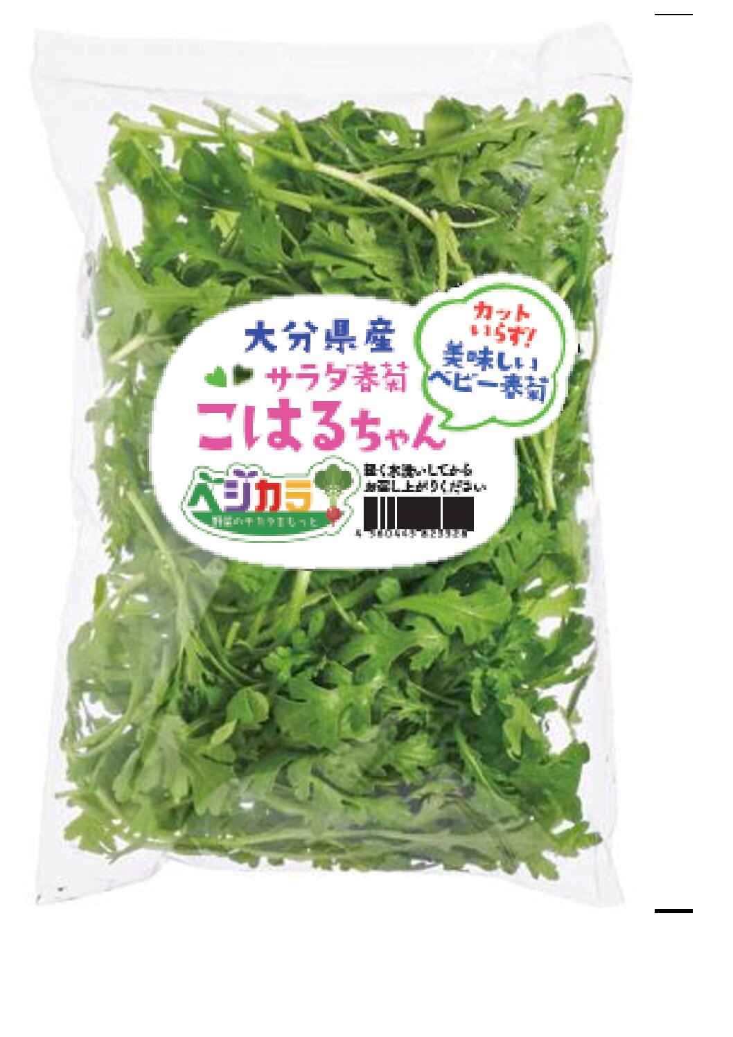 新発売「サラダ春菊こはるちゃん」 | 九州シジシー KYUSHU CGC